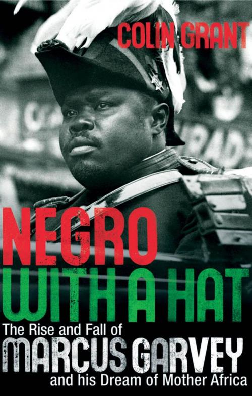 Cover of the book Negro with a Hat by Colin Grant, Oxford University Press