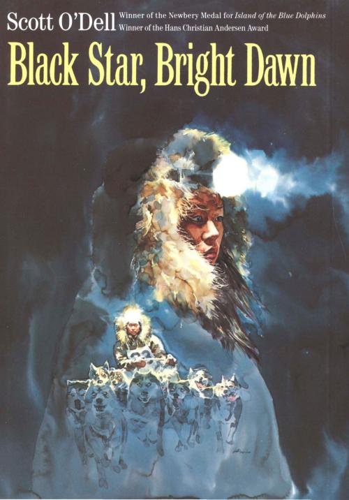 Cover of the book Black Star, Bright Dawn by Scott O'Dell, HMH Books
