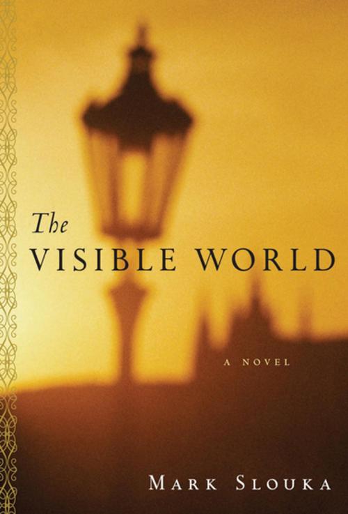 Cover of the book The Visible World by Mark Slouka, Houghton Mifflin Harcourt