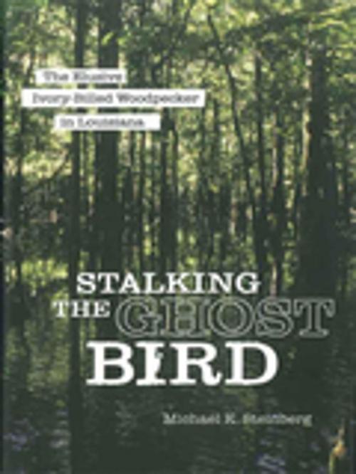 Cover of the book Stalking the Ghost Bird by Michael K. Steinberg, LSU Press