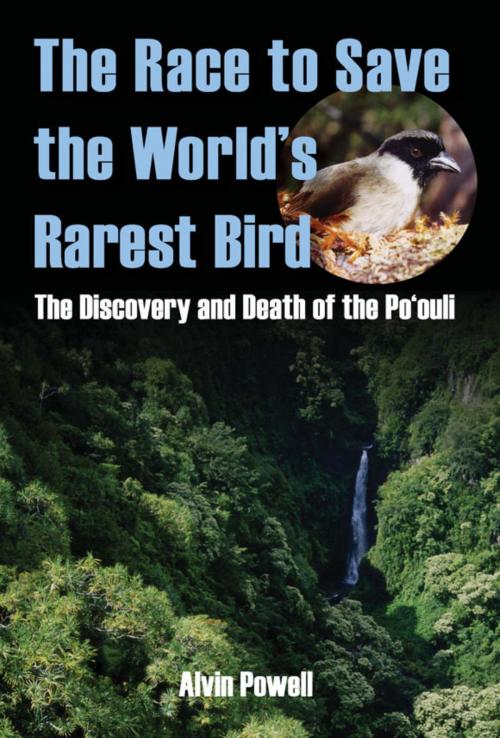 Cover of the book The Race to Save the World's Rarest Bird by Alvin Powell, Stackpole Books