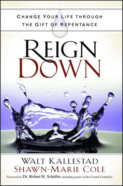 Cover of the book Reign Down by Walt Kallestad, Shawn-Marie Cole, Howard Books