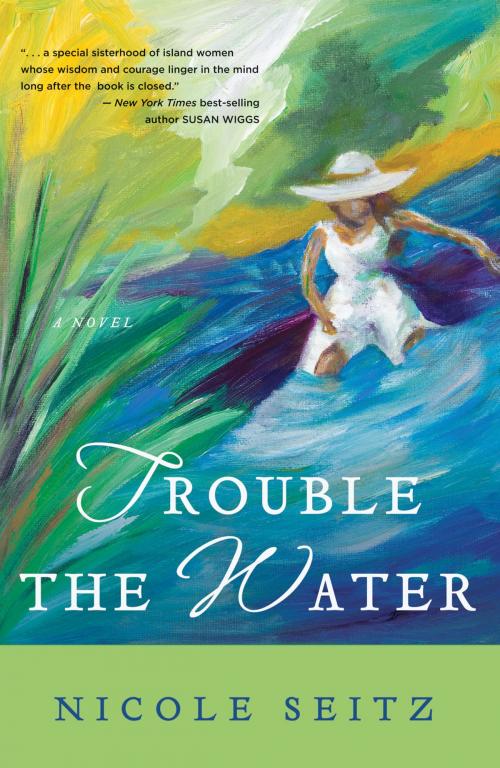 Cover of the book Trouble the Water by Nicole Seitz, Thomas Nelson