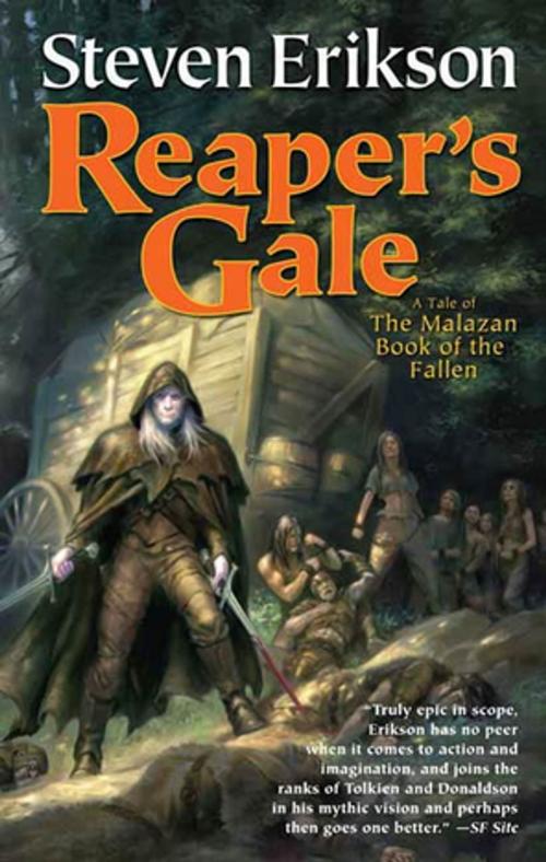 Cover of the book Reaper's Gale by Steven Erikson, Tom Doherty Associates
