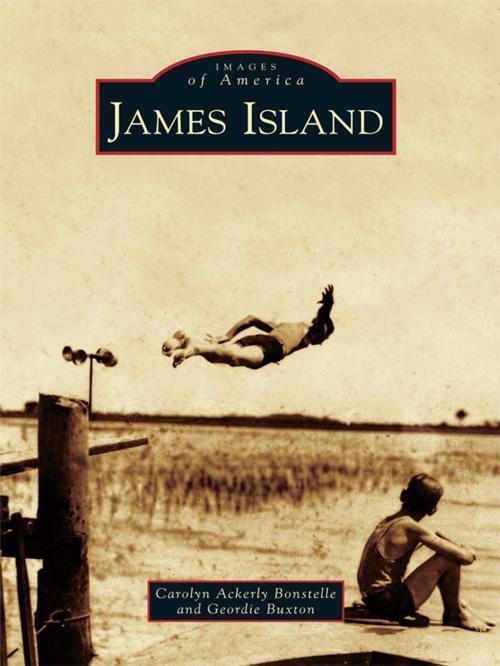 Cover of the book James Island by Carolyn Ackerly Bonstelle, Geordie Buxton, Arcadia Publishing Inc.