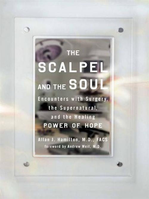 Cover of the book The Scalpel and the Soul by Allan J. Hamilton, MD, FACS, Penguin Publishing Group