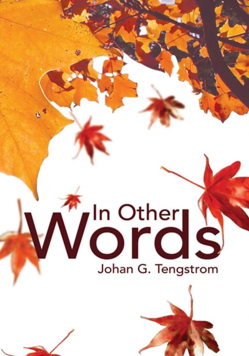 Cover of the book In Other Words by Johan G. Tengstrom, Xlibris US