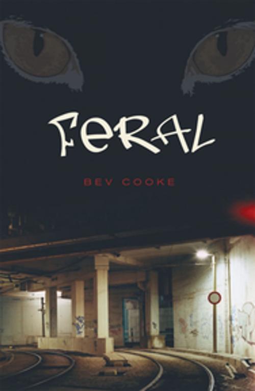 Cover of the book Feral by Bev Cooke, Orca Book Publishers