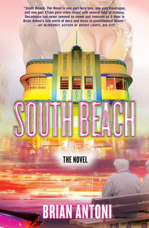 Cover of the book South Beach by Brian Antoni, Grove Atlantic