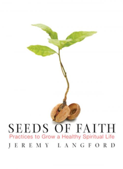 Cover of the book Seeds of Faith by Jeremy Langford, Paraclete Press