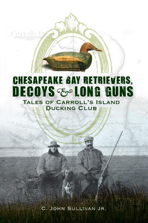 Cover of the book Chesapeake Bay Retrievers, Decoys & Long Guns by C. John Sullivan Jr., Arcadia Publishing Inc.