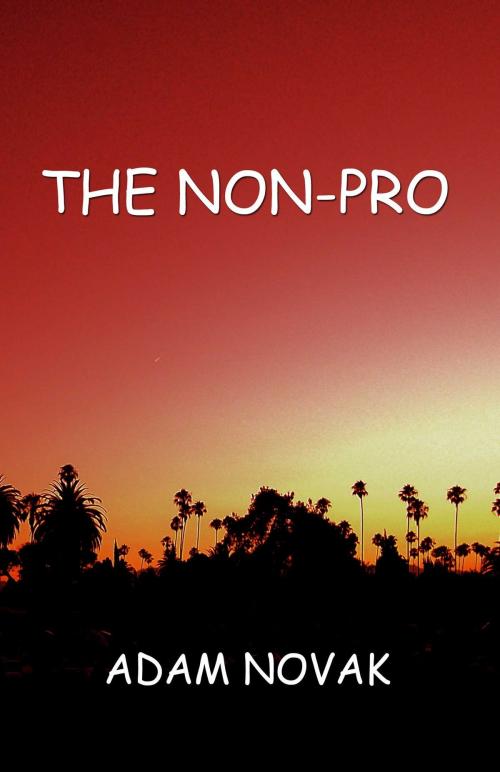 Cover of the book The Non-Pro by Adam Novak, Salvo Press