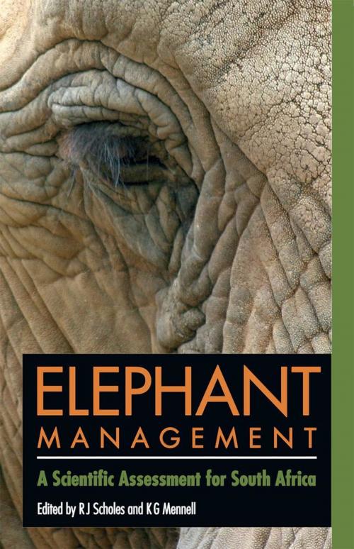 Cover of the book Elephant management by Kathleen G Mennell, Brandon Anthony, Graham Avery, Wits University Press