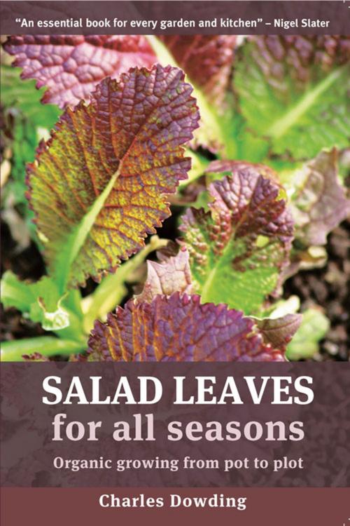 Cover of the book Salad Leaves by Charles Dowding, UIT Cambridge Ltd.