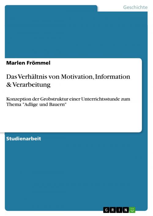 Cover of the book Das Verhältnis von Motivation, Information & Verarbeitung by Marlen Frömmel, GRIN Verlag