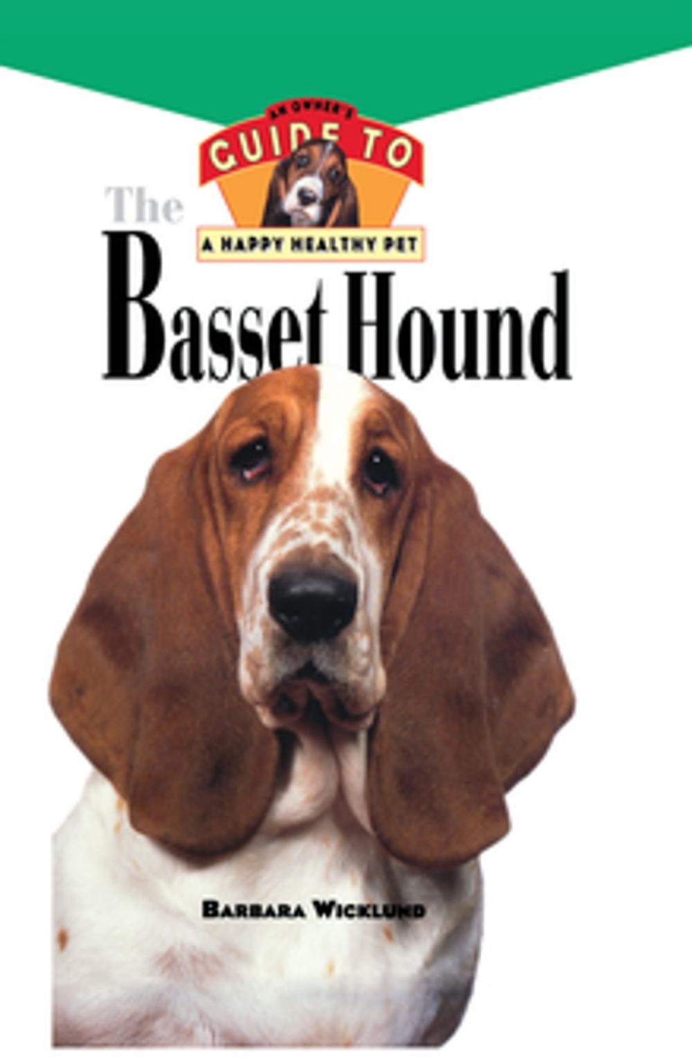 Big bigCover of Basset Hound
