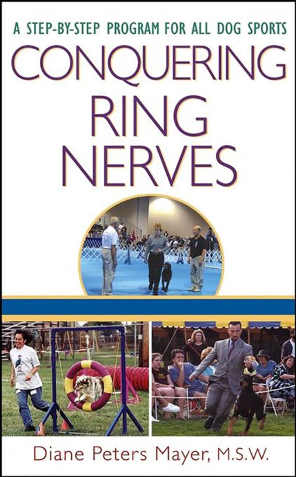 Big bigCover of Conquering Ring Nerves