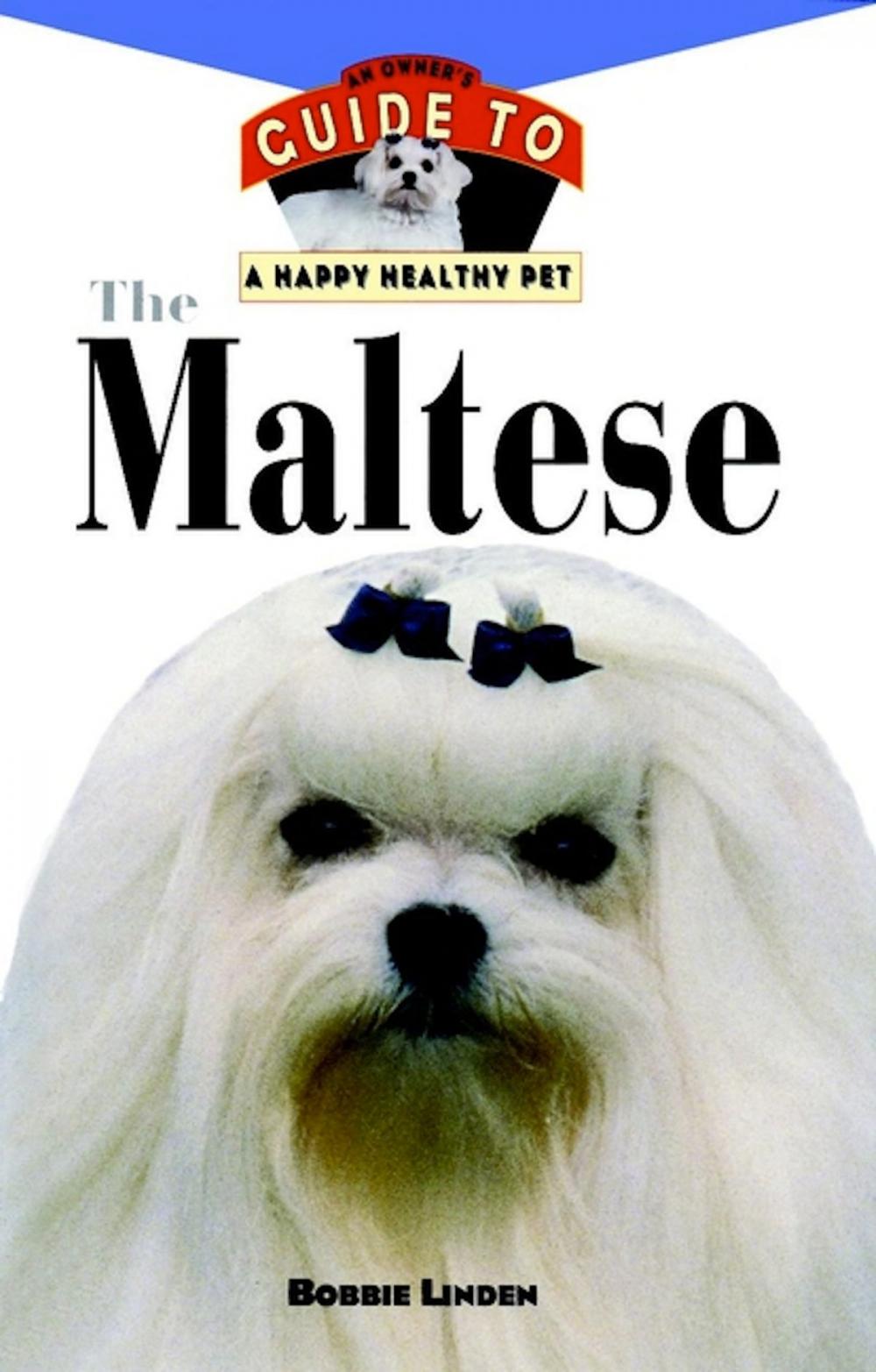 Big bigCover of The Maltese