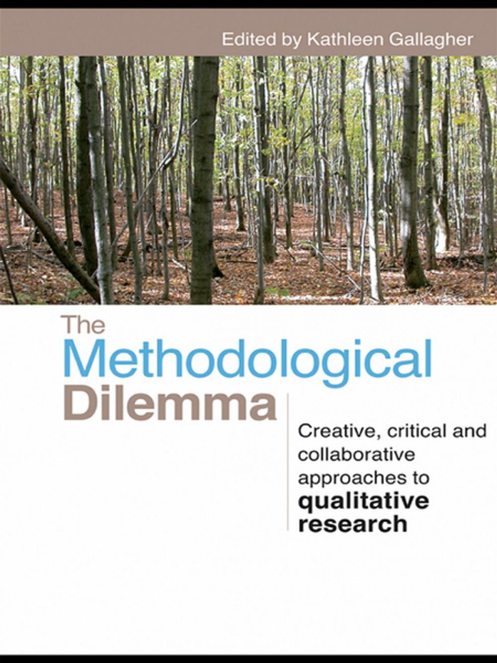 Big bigCover of The Methodological Dilemma