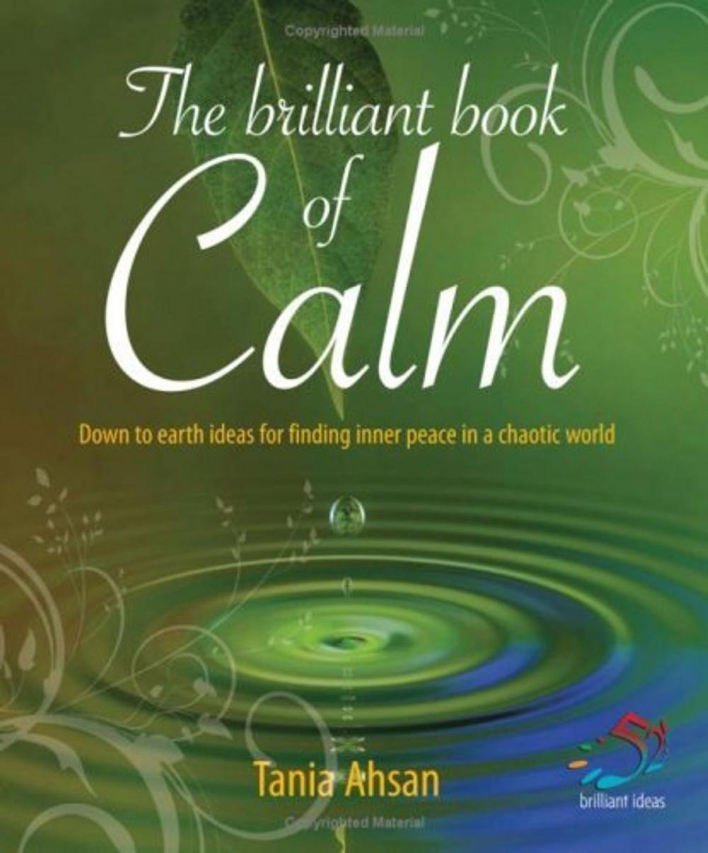 Big bigCover of The Brilliant Book of Calm