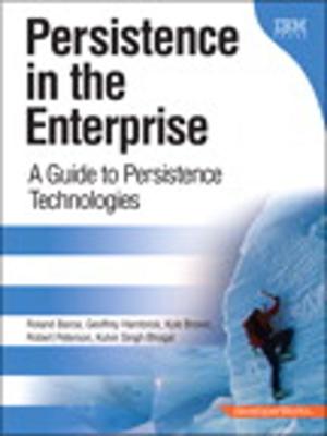 Cover of the book Persistence in the Enterprise by Conrad Chavez