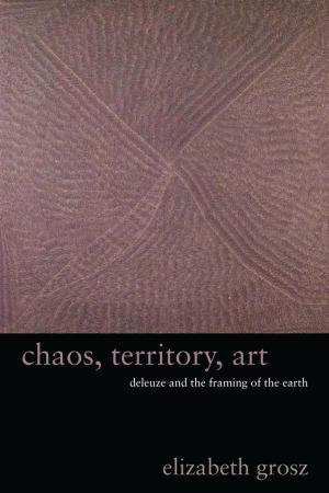 Cover of the book Chaos, Territory, Art by Siobhan Phillips
