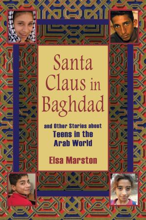Cover of the book Santa Claus in Baghdad and Other Stories about Teens in the Arab World by Donald R. Prothero