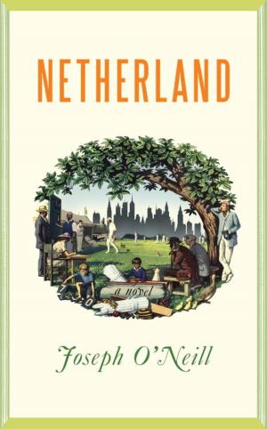 Cover of the book Netherland by Barbara Goldsmith