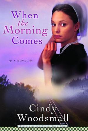Cover of the book When the Morning Comes by Erika Rhys