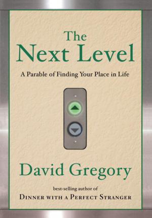 Book cover of The Next Level