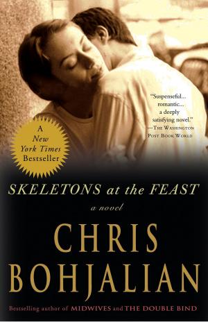 Cover of the book Skeletons at the Feast by Mauritius