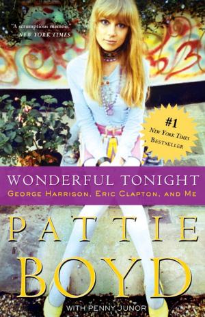bigCover of the book Wonderful Tonight by 