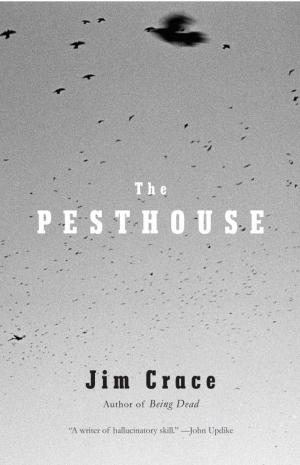Cover of the book The Pesthouse by Julian Gough