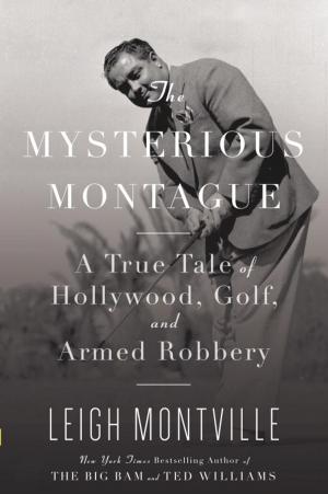 bigCover of the book The Mysterious Montague by 
