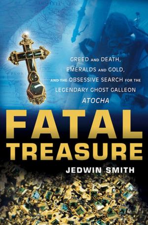 Cover of the book Fatal Treasure by Jason Saul