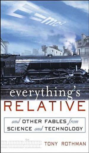 Cover of the book Everything's Relative by Jeff Johnson