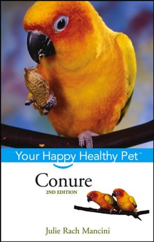 Book cover of Conure