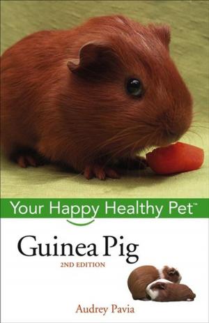 Book cover of Guinea Pig
