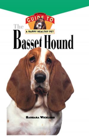 Cover of the book Basset Hound by M.D. Daniel J. Brugioni, Jeff Falkel, Ph.D., P.T.