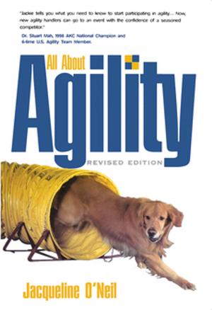 bigCover of the book All about Agility by 