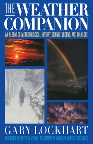 Cover of the book The Weather Companion by Rabbi David A. Teutsch, PhD