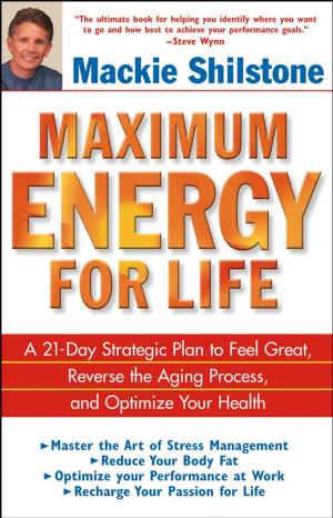 Cover of the book Maximum Energy for Life by Rabbi Bradley Shavit Artson