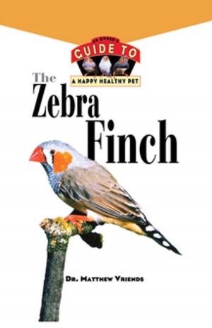 Cover of the book The Zebra Finch by Laurel Vukovic, M.S.W.