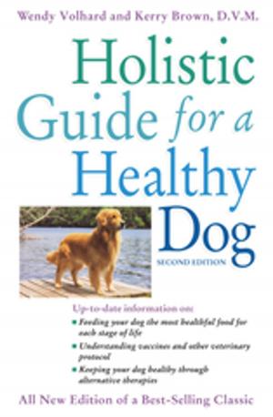 Book cover of Holistic Guide for a Healthy Dog
