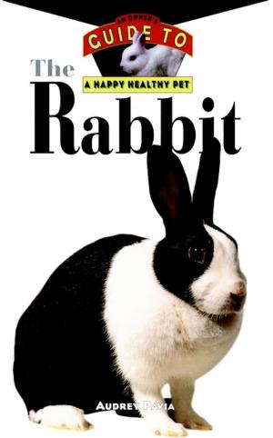 Cover of the book The Rabbit by Roger Launius, B.J. Dvorscak
