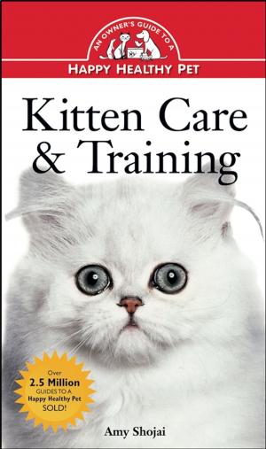Cover of the book Kitten Care & Training by Rabbi Sandy Eisenberg Sasso