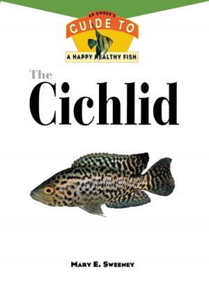 Cover of the book The Cichlid by Sandra L. Brown, M.A.