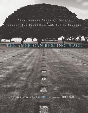 Cover of the book The American Resting Place by Karen Wynn Fonstad
