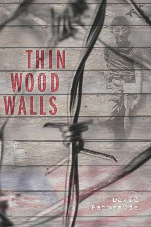Cover of the book Thin Wood Walls by Carolyn Meyer