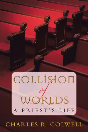 Cover of the book Collision of Worlds by Jeanne S. Silvers